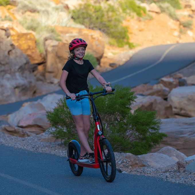 e-scooter